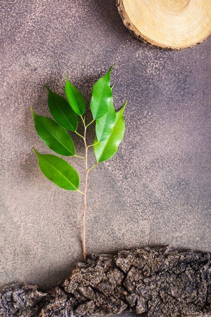 ESG – environmentálne, sociálne a riadiace poradenstvo
